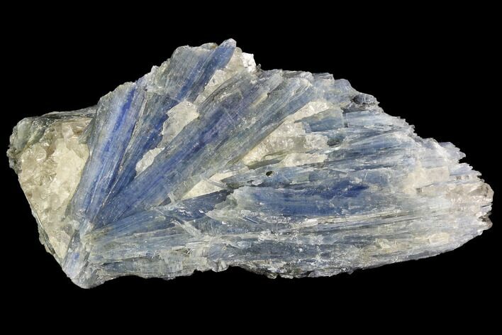 Vibrant Blue Kyanite Crystal Cluster - Brazil #97969
